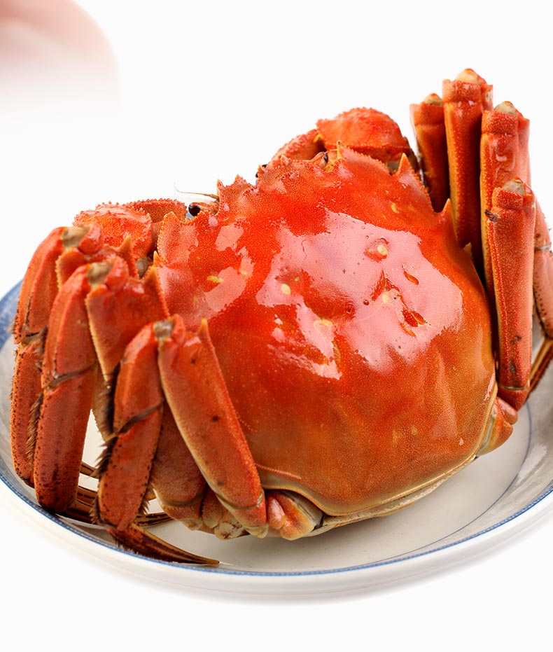 蘇州大閘蟹提貨系統(tǒng)